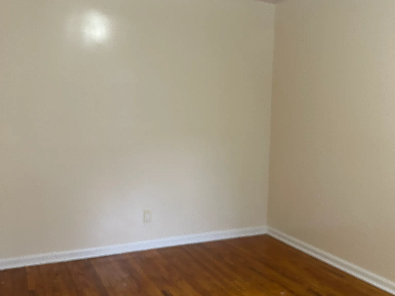 1 bed, $1,900 — Photo 4