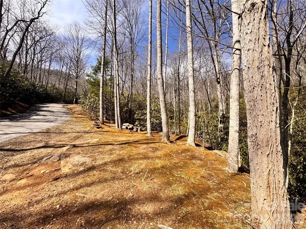 212 Harmony Ln #1142, Black Mountain, NC 28711