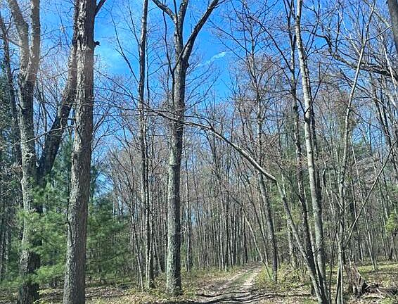 5th image of 0 Pomeroy Springs Rd