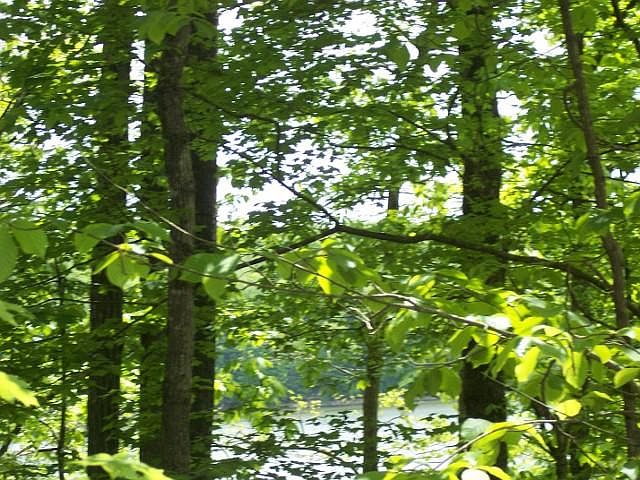 1st image of 0 Gennies Way Lot 139