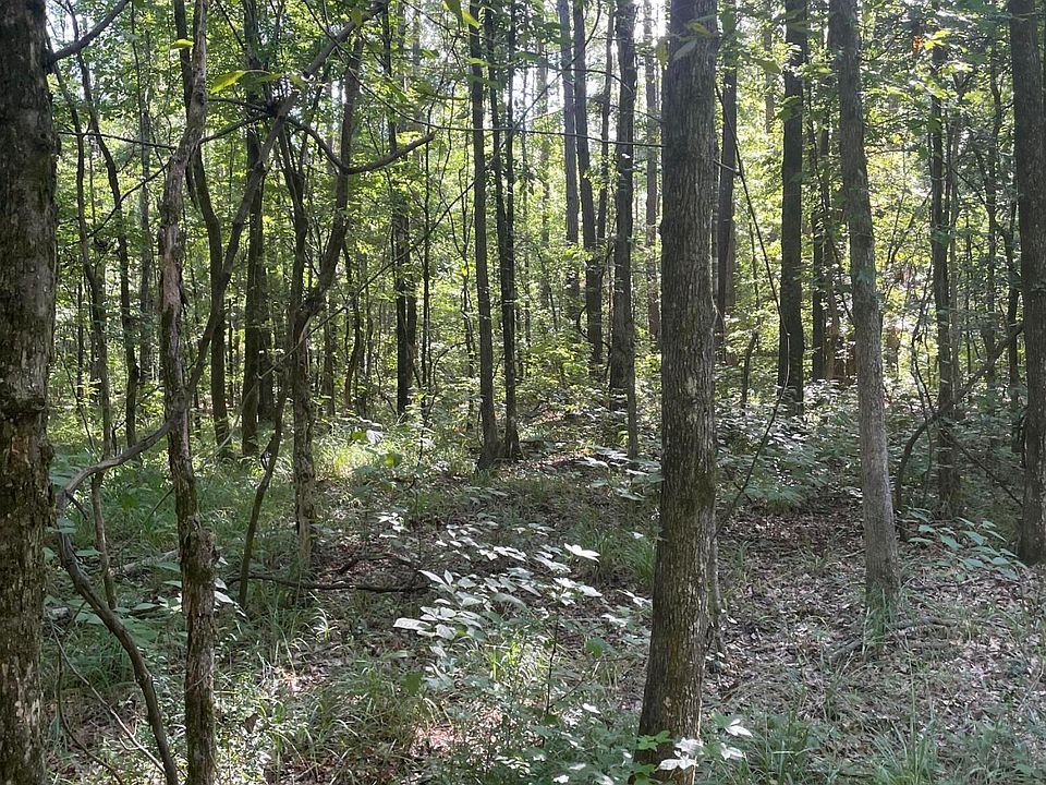 1st image of 444 Jims Rd