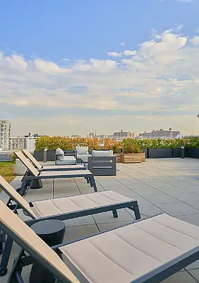 Rented by Living New York | media 30