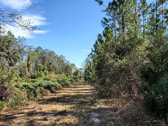 5th image of 0 Brown Rd
