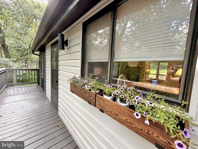 647 The Woods Rd, Hedgesville, WV 25427