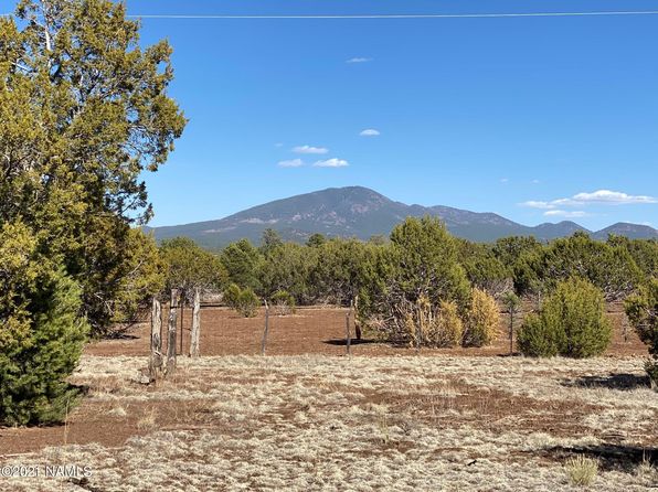 7065 Tulip Trl #9, Williams, AZ 86046