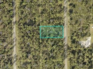 207 Wells Ave, Lehigh Acres, FL 33936