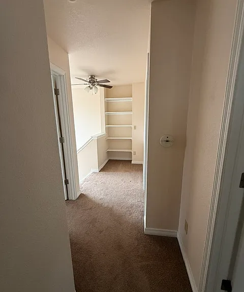 30052 Spruce Rd — Photo 19