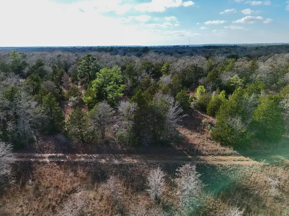 11 Antioch Rd, Paige, TX 78659