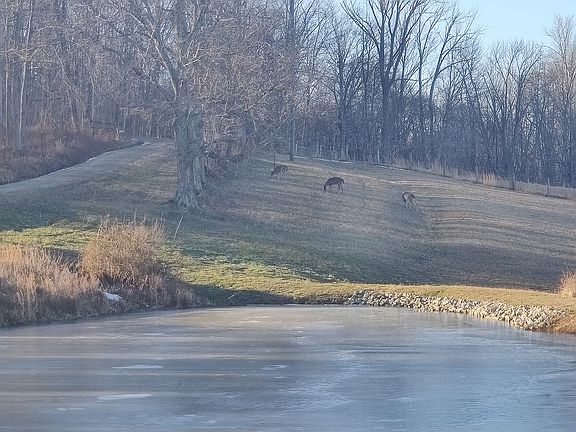 5th image of 916 Francis Ln
