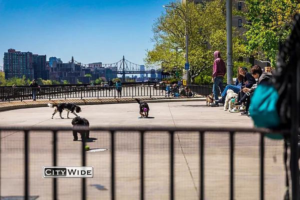 Rented by City Wide Apartments | media 11