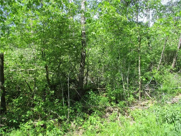 LOTS 18 AND 19 EDEN Avenue, Birchwood, WI 54817