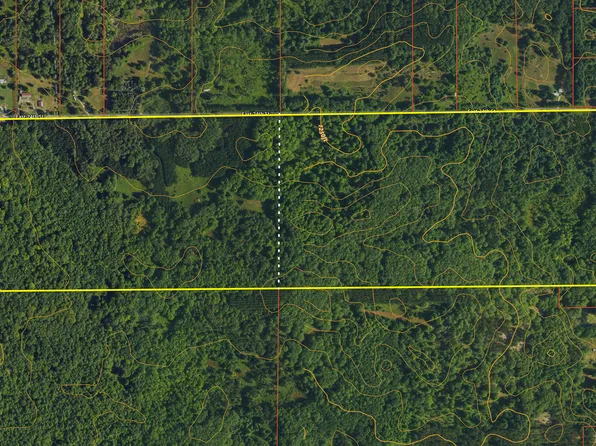 157.22 E 24th St, Reed City, MI 49677