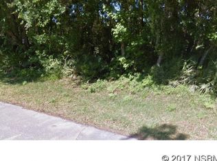 Silver Palm Dr, Edgewater, FL 32141