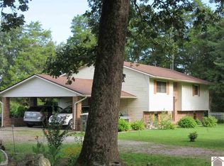 1191 Pritchard Rd, Wingo, KY 42088