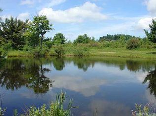 8092 Cummings Rd, Stockton, NY 14784