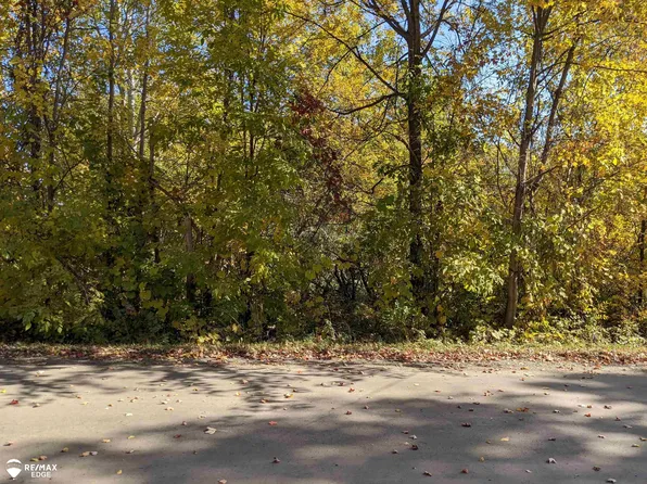 0 S Van Vleet Rd, Swartz Creek, MI 48473
