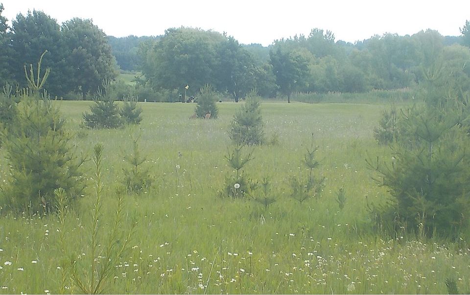 2nd image of M M County Rd