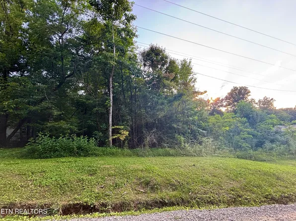 Wintergreen Ln, Cosby, TN 37722