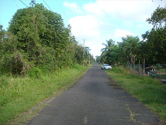 4th image of N Mahimahi St