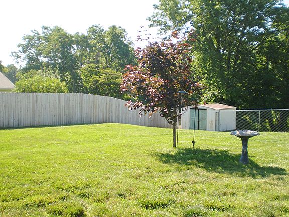 Back yard