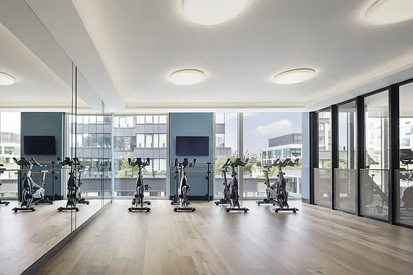 Rented by Gotham Organization | media 19