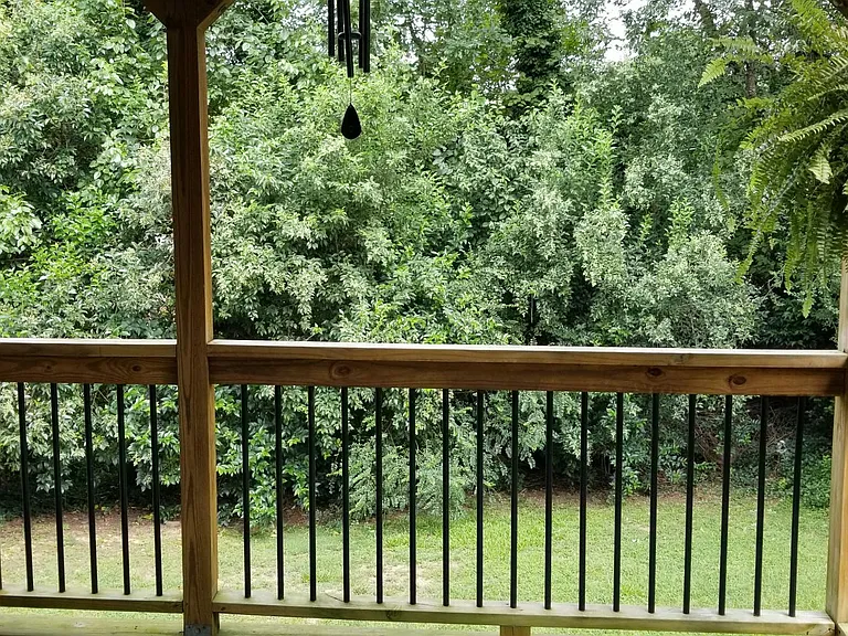 Screen of trees for plenty of privacy off the deck