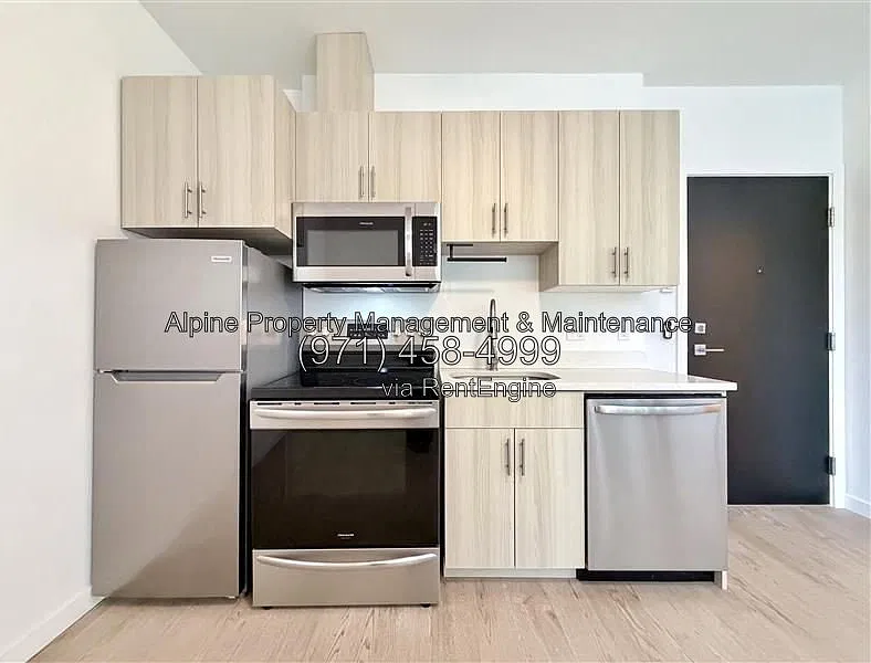 Studio, 1.0 bath, 268 sqft, $1,080 — Photo 3