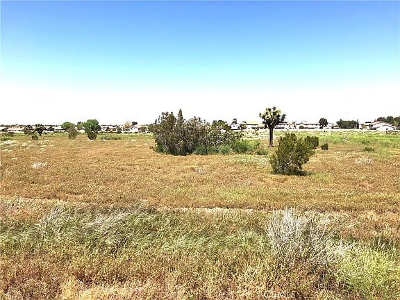 4th image of 0 Palomino Court Corner East Ave S #12-lot 6