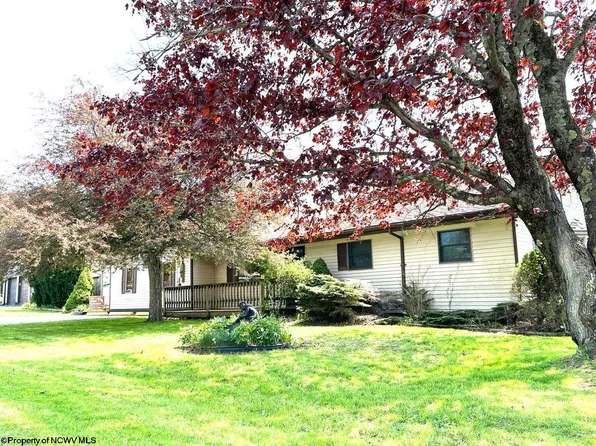 18 Maple Grove Ln, Davis, WV 26260