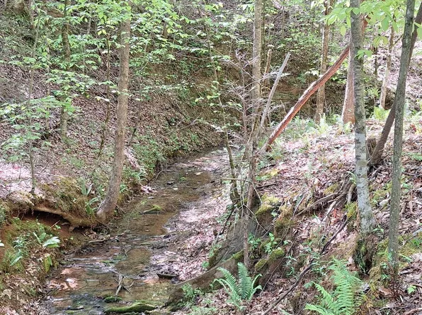 374 Payne Rd, Tellico Plains, TN 37385