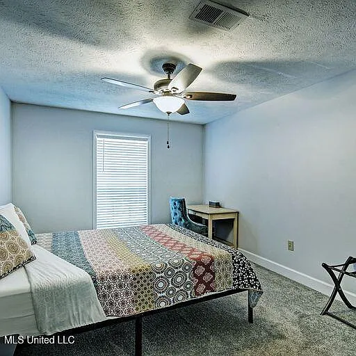 317 Peach Orchard Dr — Photo 12