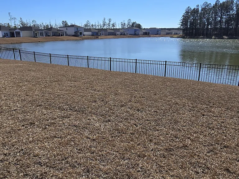lake front views from patio and back of house