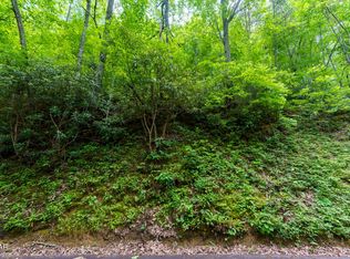 10 Zurich Rd, Gatlinburg, TN 37738
