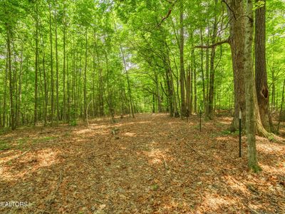 TRACT 2 Black Oak Rd, Clinton, TN, 37716