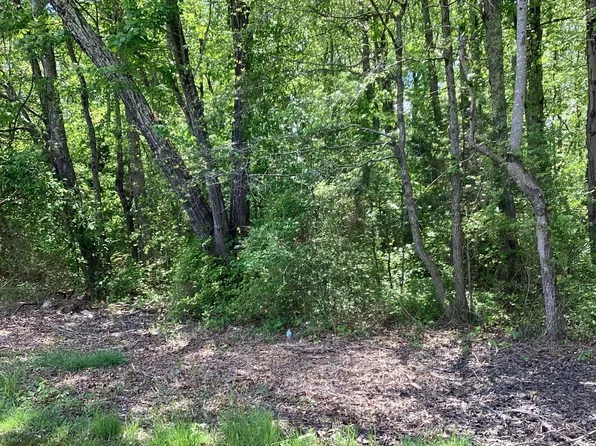 2127 Mount Olive Rd, Beaverdam, VA 23015