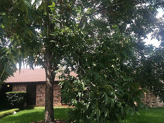 4th image of 2315 Hearne Dr