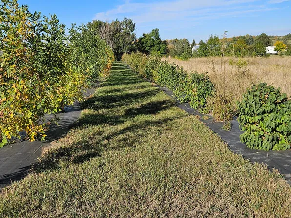 On Country Ln, Mandan, ND 58554