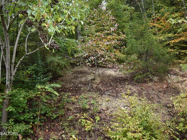 Bluff View Rd, New Tazewell, TN 37825