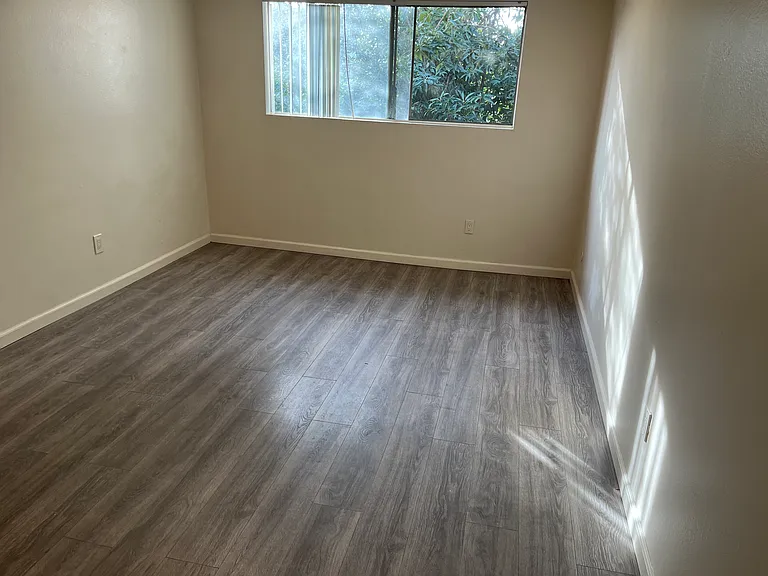 425 Live Oak Ave #229 — Photo 5