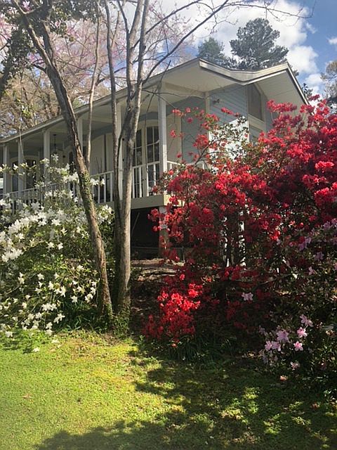 Back yard gallerie 
