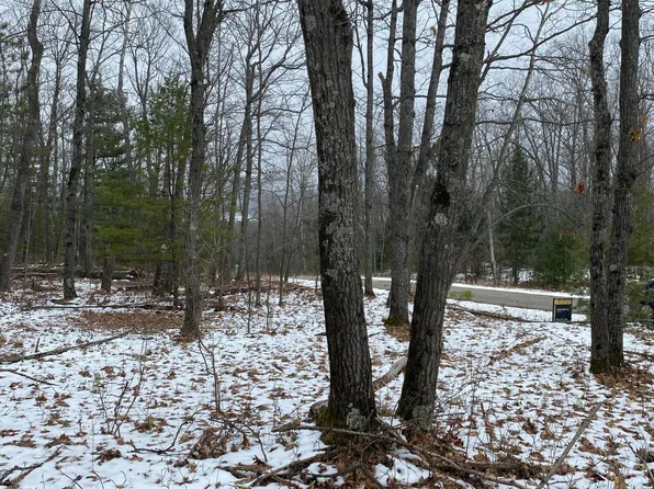 28 Robinhood Dr, Hubbard Lake, MI 49747