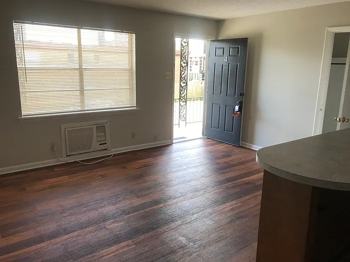 1 bed, 1.0 bath, 700 sqft, $550 — Photo 3