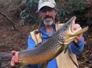 7 Tate Cove Rd, Hayesville, NC 28904