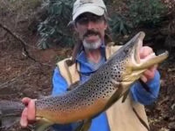 7 Tate Cove Rd, Hayesville, NC 28904