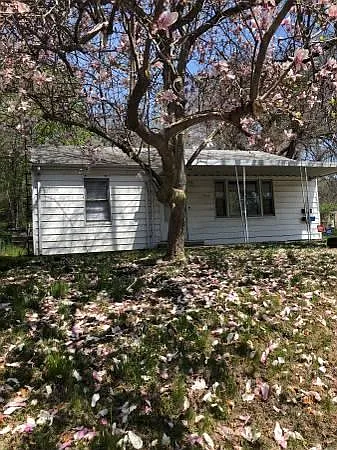 1815 W Widenham St photo 1