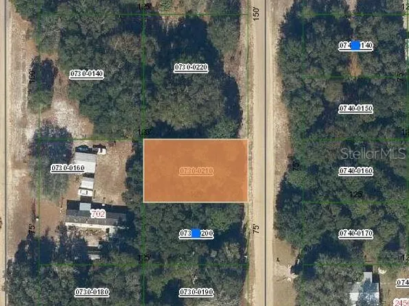 Lenore Avenue Lot #21, Interlachen, FL 32148