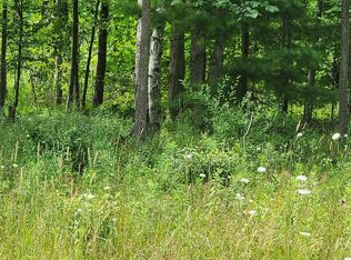 3412 Old Orchard Ln PARCEL A, Lexington, MI 48450