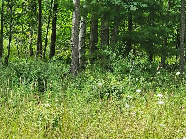 3412 Old Orchard Ln Parcel A, Lexington, MI 48450