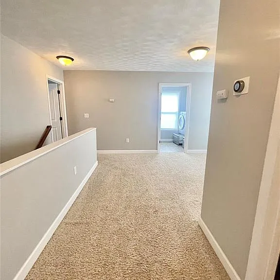 805 Bluff Ridge Ln — Photo 12