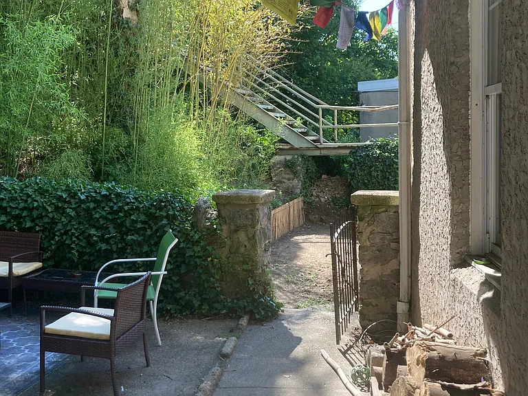 Back yard
